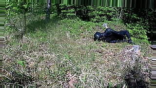 Outdoor hogtie in hot summer day.