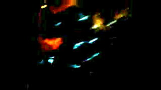 KVID0456
