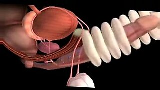 male genitals and how they work