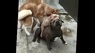 Perro cachondo se coje a 2 putas hasta dejarlas sin caminar.